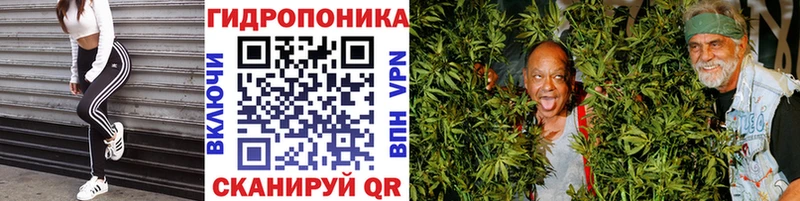 купить наркоту  Шагонар  Бошки Шишки сатива 